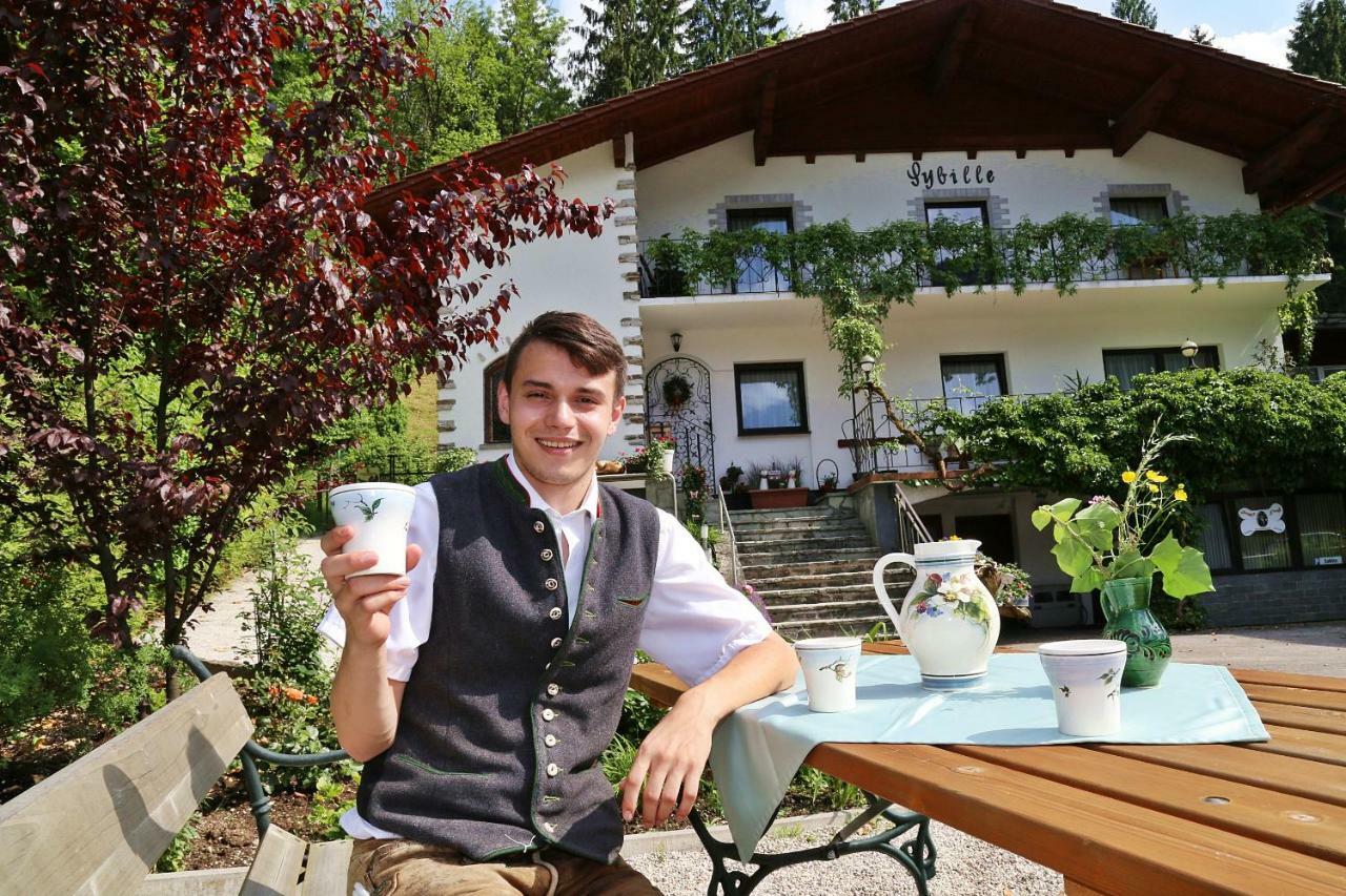 Pension Sybille Ebensee Exterior photo
